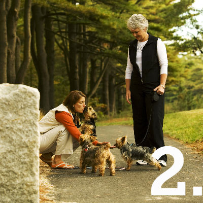 Over 10 Miles of Paved and Lit Walking Trails, Plus Miles More Unpaved Trails